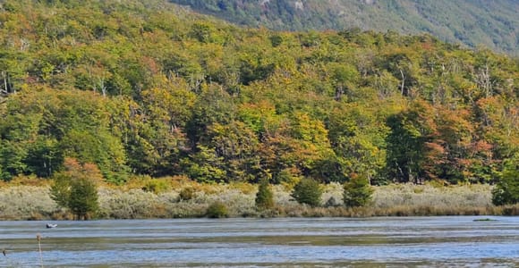 Ushuaia, una experiencia de mar y tierra para conocer el Fin del Mundo