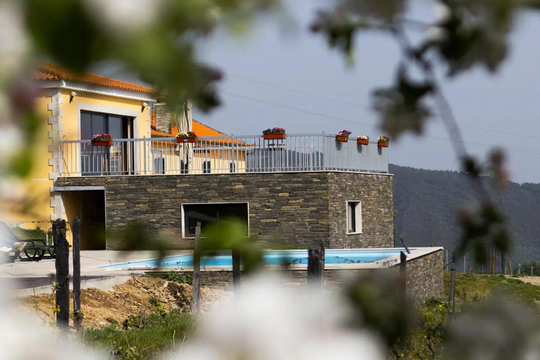 Régua: Prova de vinhos em Quinta, Almoço Tradicional, Cruzeiro e Comboio