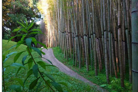 From Batumi: Georgian Amazon & Kolkheti Park Tour