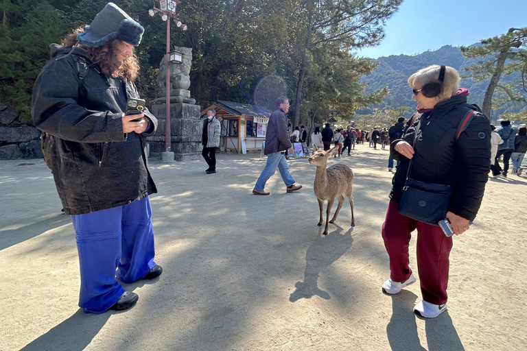 Hiroshima & Miyajima 1-Day Private Tour with Local Guide