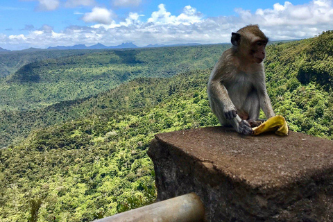South West Mauritius : Ebony Forest Nature Escape with Lunch Into the Wild South: Ebony Forest Nature Escape with Lunch