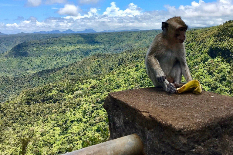 South West Mauritius : Ebony Forest Nature Escape with Lunch Into the Wild South: Ebony Forest Nature Escape with Lunch