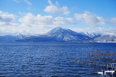 Sapporo: Otaru Day Trip-Mt. Tengu & Aquarium in small group start from Sapporo station