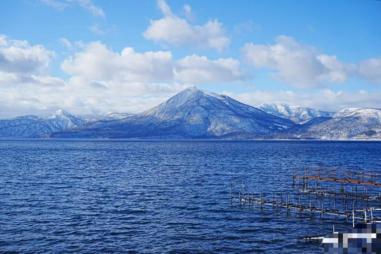 Sapporo: Otaru Day Trip-Mt. Tengu & Aquarium in small group start from Sapporo station