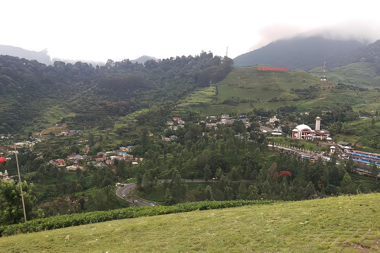 From Jakarta : Paragliding Sport & Tea Plantation