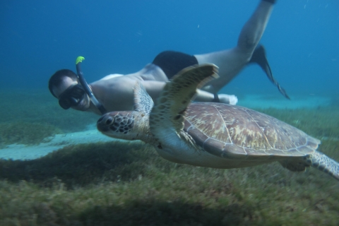 Catamaran dag snorkelen peddelt schildpadden + optionele duikCatamaran dag snorkelen peddelt schildpadden & optionele duik