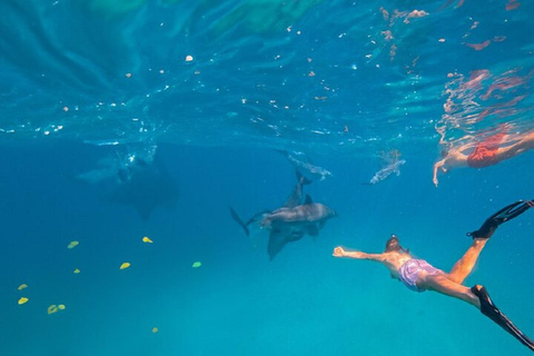 Diani Beach: Sunrise Boat Tour and Snorkeling Trip