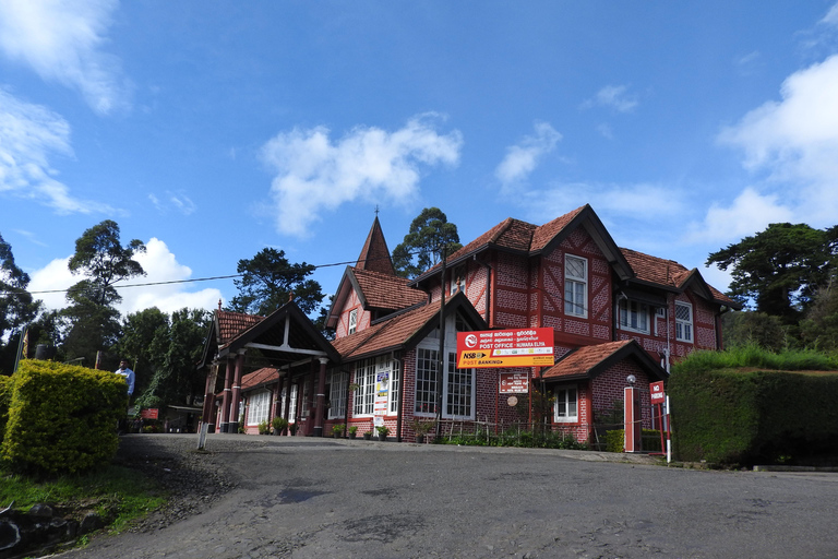 Tour di 4 giorni di Kandy e Nuwara Eliya con tè e paesaggi collinari in Sri Lanka