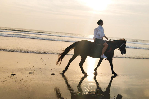 Seminyak: Bali Horse riding Adventure Seminyak Beach 1 Hour ride (meet at meeting point)