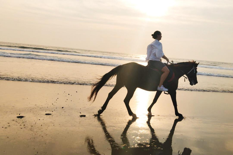 Seminyak: Bali Horse riding Adventure Seminyak Beach 1 Hour ride (meet at meeting point)