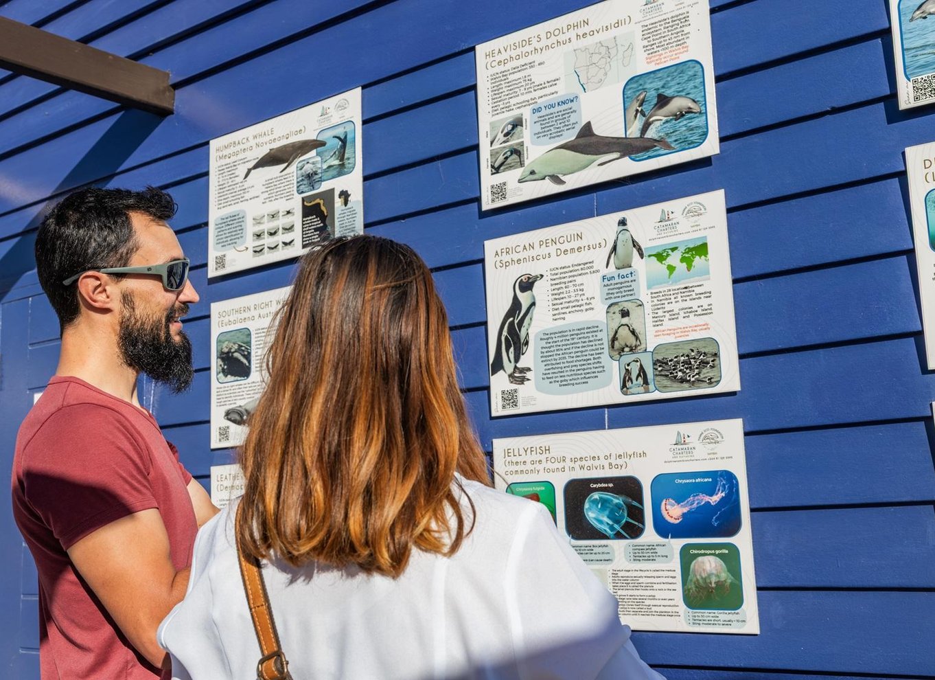 Walvis Bay: Marine Big 5 luksus katamaran tur