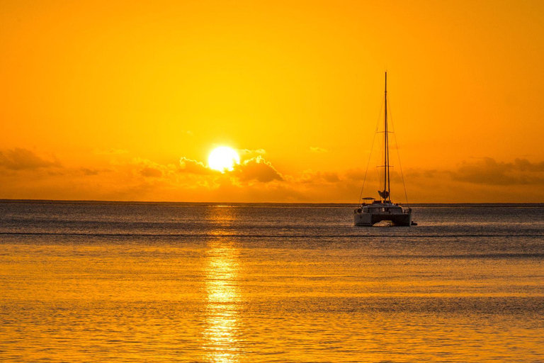 Porto Conte: Half-day catamaran tour with aperitif