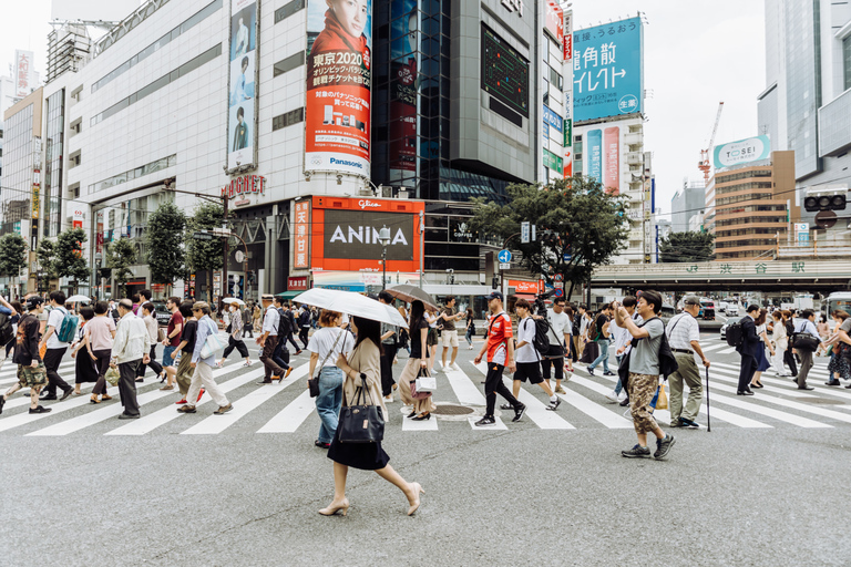 Shibuya &amp; Harajuku: Hidden Gems &amp; Highlights Private Tour3-Hour Tour