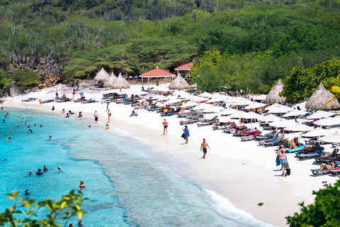 Willemstad: Hato Caves, Turtle Beach, Kenepa, and Flamingos