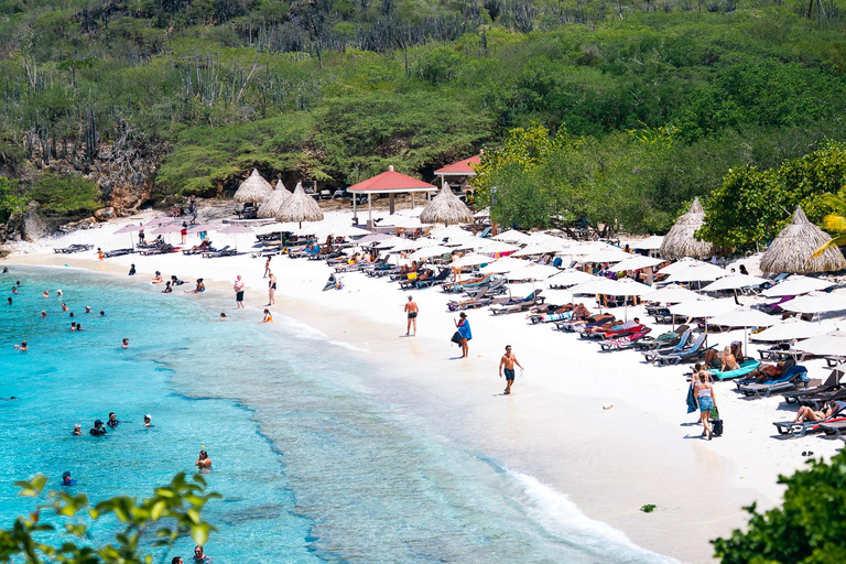 Willemstad: Hato Caves, Turtle Beach, Kenepa, and Flamingos