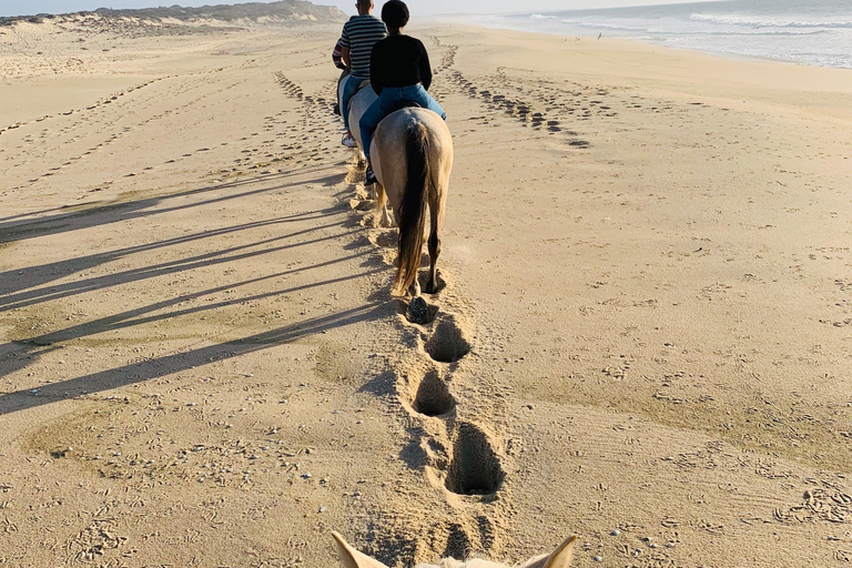 Fort Bragg: Coastal Horseback Ride on Ten Mile Beach