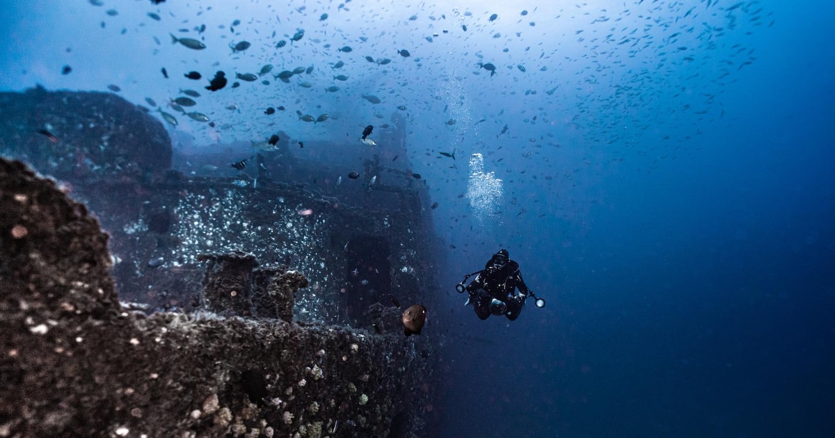 Sunshine Coast : Plongée sous-marine sur l'épave de l'ex-HMAS de ...