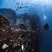 Sunshine Coast: Scuba Dive the Ex-HMAS Brisbane Shipwreck