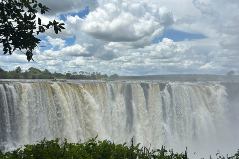 Victoria Falls: Guided Tour with Big Tree & Market Visit