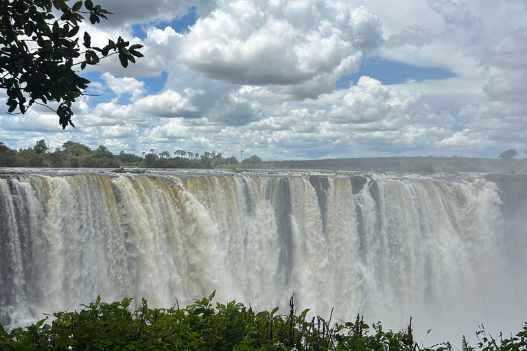 Victoria Falls: Guided Tour with Big Tree & Market Visit