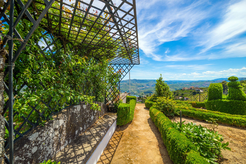 Douro Valley: A Sensory Experience in the Douro: Wines, Olive Oil, and History Douro Valley: Sensory Experience in the Douro: Wines, Olive Oil, and History