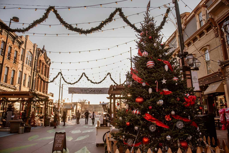 Denver City Highlights Tour