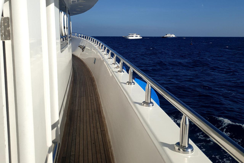 Hurghada: Scuba Diving cruise with lunch & pickup Single Beginner introduction dive with pickup and lunch