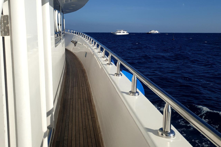 Hurghada: Scuba Diving cruise with lunch & pickup Single Beginner introduction dive with pickup and lunch