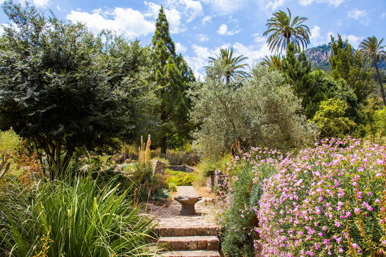 MUCBO | Jardí Botànic de Sóller - Balearic Museum of Natural Sciences