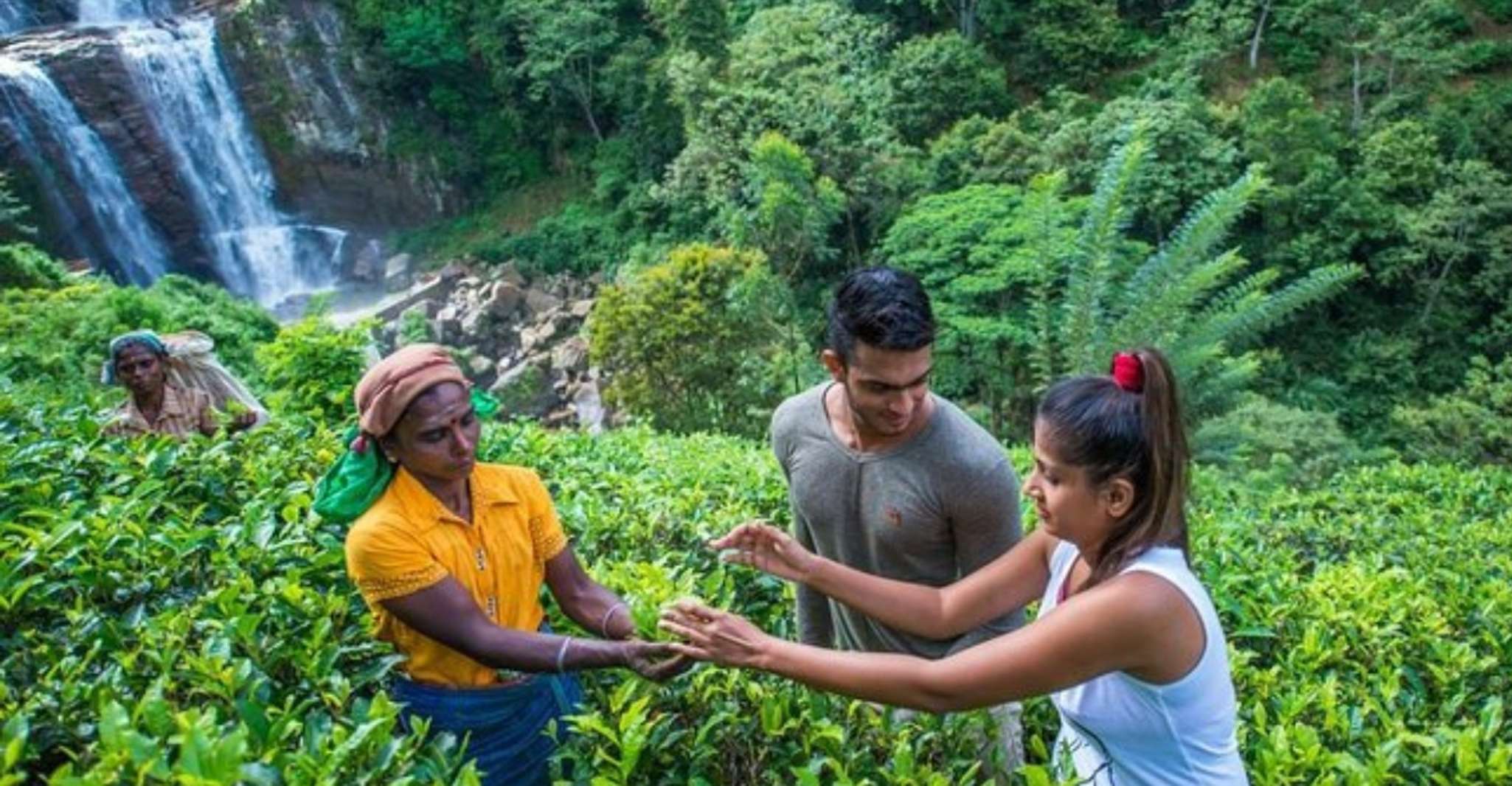 Ramboda, Village Trekking Tour with Authentic Village Lunch! - Housity