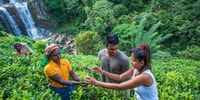 Ramboda, Village Trekking Tour with Authentic Village Lunch! - Housity