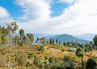 Voyage d'une journée à Kalimpong Expérience privée guidée de Gangtok - Hizvo