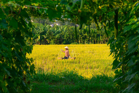 Hanoi: Ninh Binh Am Tien Cave or Trang An, Mua Cave & Hoa Lu Private Tour: Ninh Binh, Hoa Lu, Trang An, Mua Cave, Incense