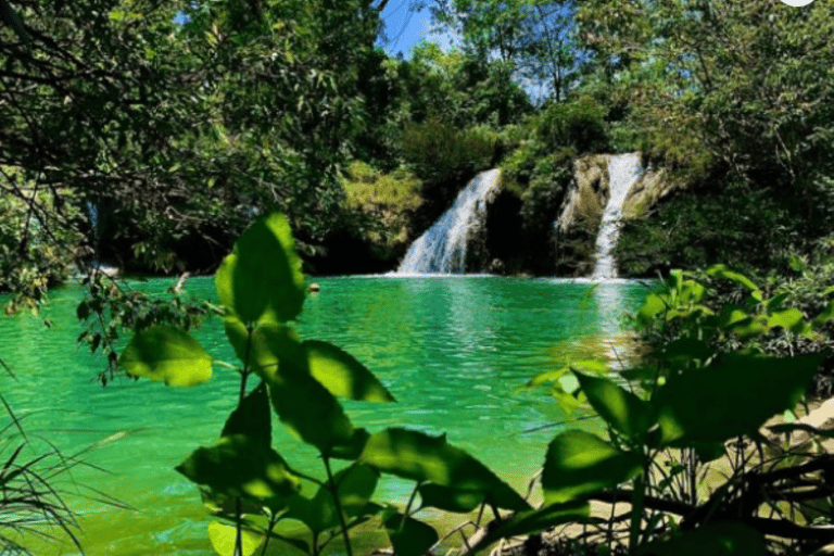 Palenque: Roberto Barrios Waterfall Tour