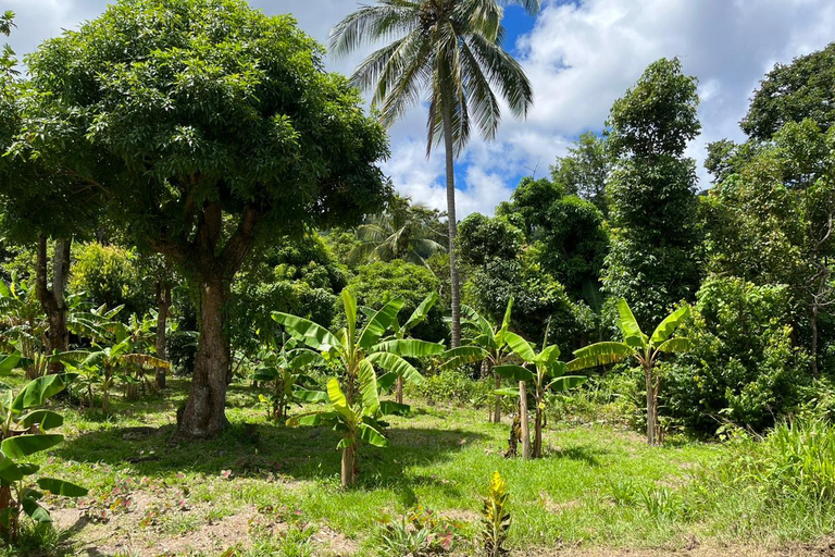 Santa Lúcia: Excursão terrestre e marítima com tudo incluído