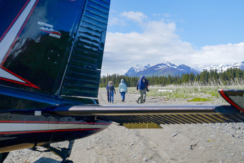 Bear Viewing Tour from Homer, Alaska