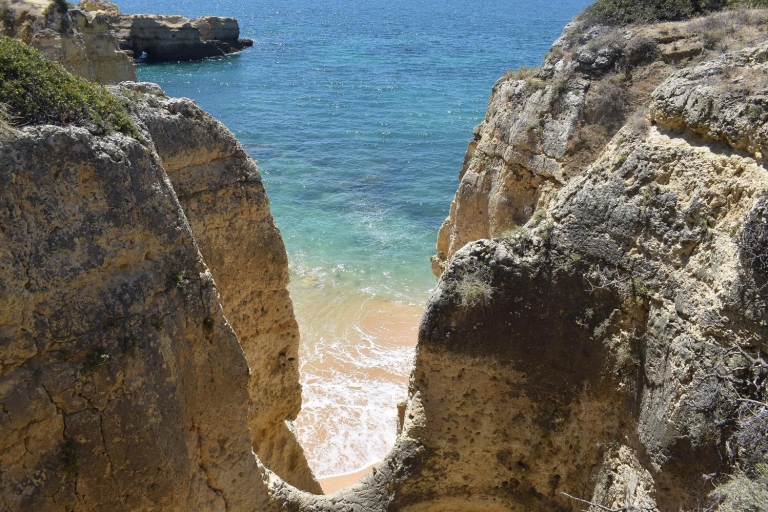 Depuis Lisbonne : Excursion d'une journée sur la côte de l'Algarve