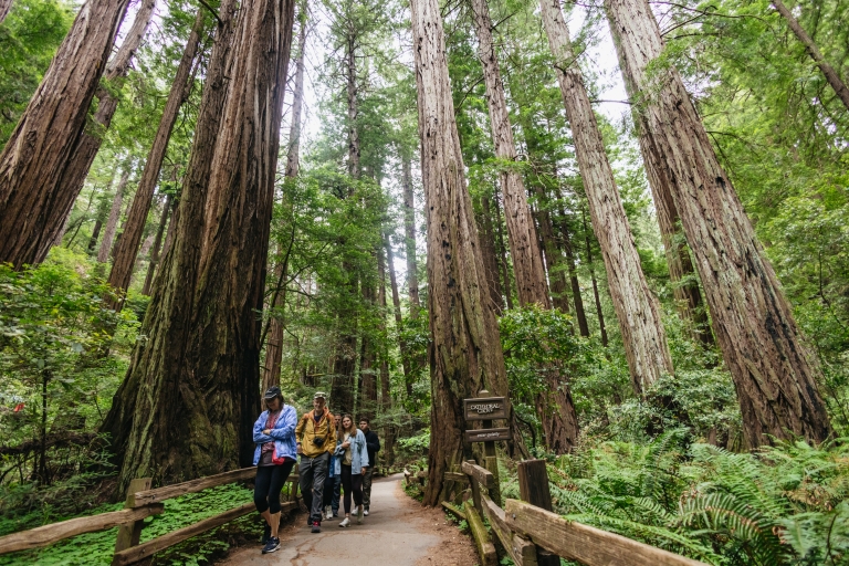 San Francisco: Muir Woods, Giant Redwoods, & Sausalito Tour Tour with Sausalito Ferry