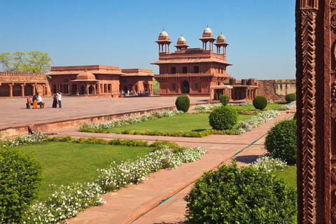 From Delhi: Private Golden Triangle with Ranthambhore Safari MTA027/02 - Private Tour With Transport + Guide + Safari