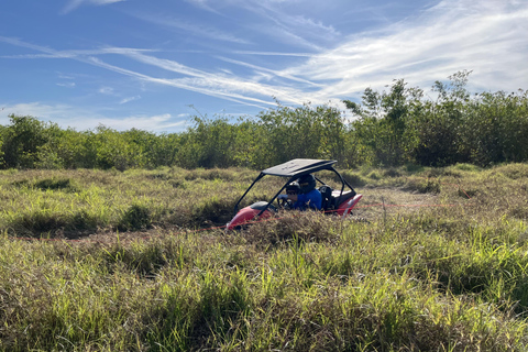 Fort Meade Aventuras en buggyAventura de 45 minutos por una sola pista