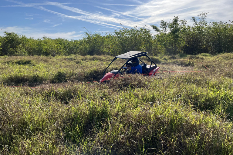 Fort Meade Aventuras en buggyAventura de 45 minutos por una sola pista