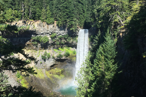 Whistler: Alpine Wanderung mit Gondelfahrt