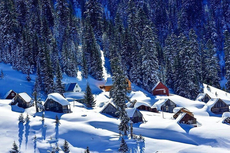 From Batumi: Bakhmaro Winter Tour with Nabeghlavi Stop