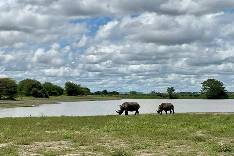 Nairobi National park group joining game drive tour.