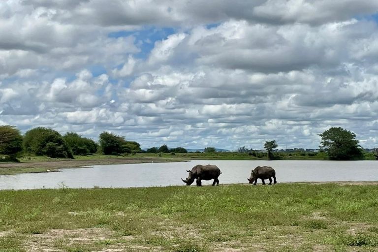 Visite en groupe du parc national de Nairobi avec safari en voiture.