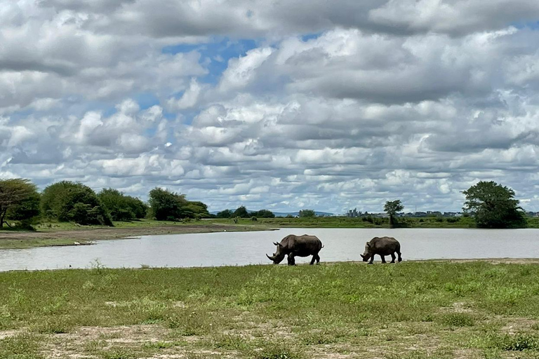 Nairobi National park group joining game drive tour.