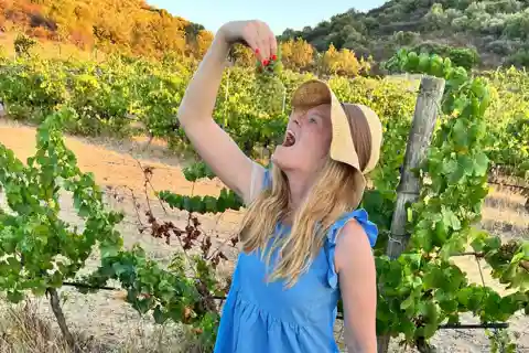 Near Cagliari: The World of Natural Wine at "In Our Garden"
