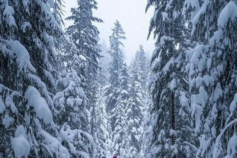 Courchevel: Scenic Walk to Lac de la Rosière