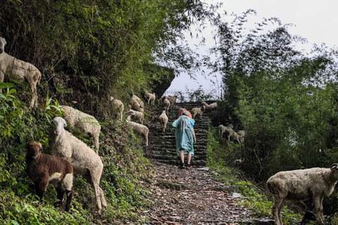 Katmandou : 3 jours de randonnée guidée à Ghorepani Poon HillAu départ de Katmandou : randonnée de 3 jours à Poon Hill au lever du soleil