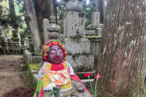 From Osaka/Kyoto: Mt. Koya & Nachi Falls Private Day Trip